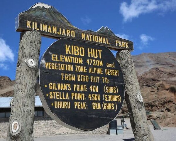 7 Days Rongai Route Kilimanjaro Climb