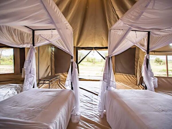5 Days Serengeti Wildlife Safari