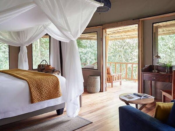Where to Stay in Bwindi for Gorilla Trekking