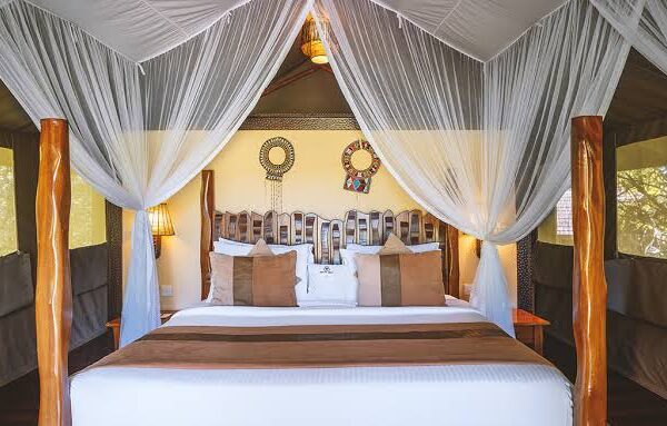 Best Camps for Family Safaris in Masai Mara