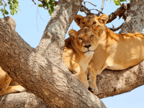 Top 10 Places to Visit in Tanzania
