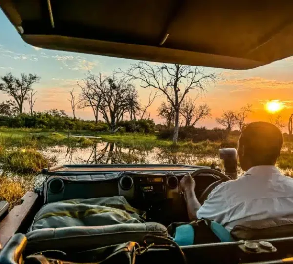 What to Expect on a Typical Day on a Safari