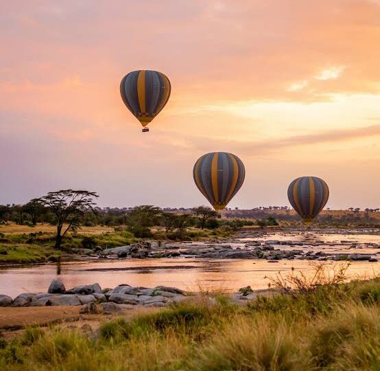 11 Days Kenya & Tanzania Safari