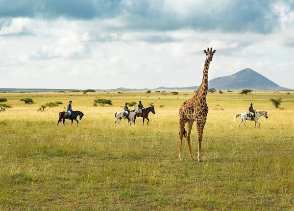 Best Time To Visit Chyulu Hills Kenya