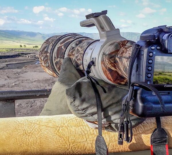 Tanzania Budget Safaris