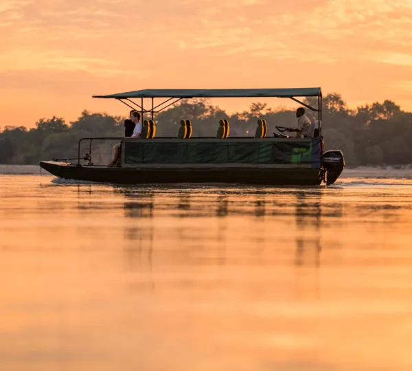 7 Fascinating Facts about Nyerere National Park