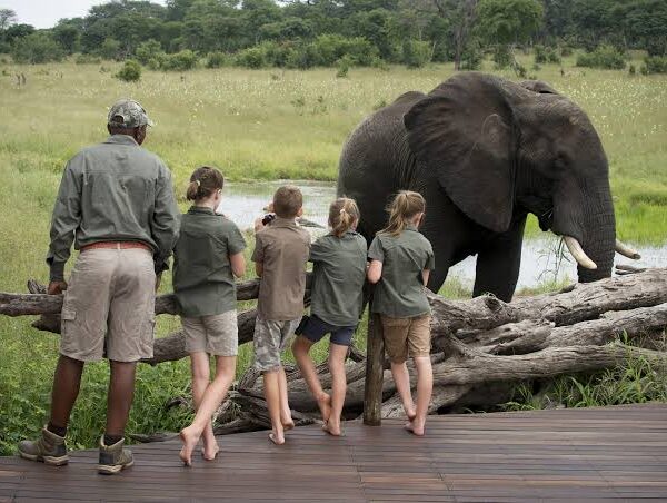 Tips for a Tanzania Safari with Kids