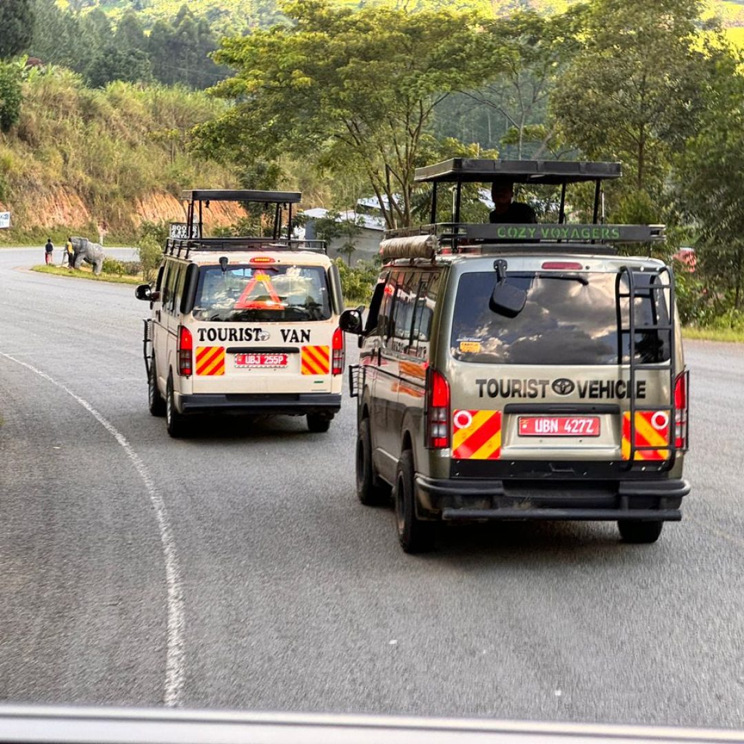 Renai Safaris